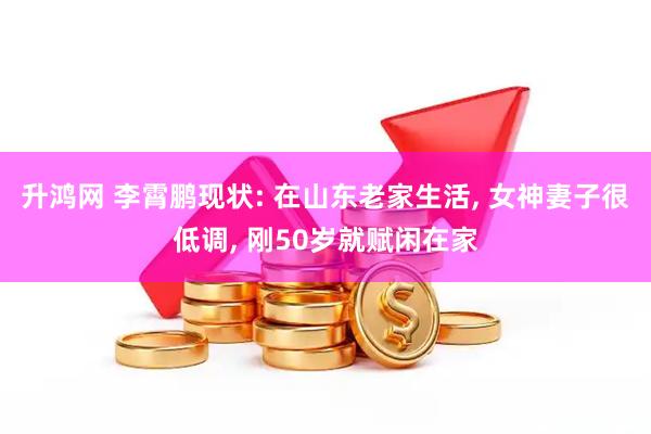 升鸿网 李霄鹏现状: 在山东老家生活, 女神妻子很低调, 刚50岁就赋闲在家
