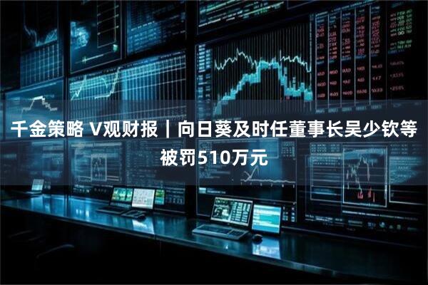 千金策略 V观财报｜向日葵及时任董事长吴少钦等被罚510万元